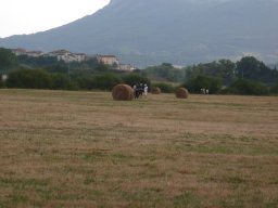 Rotoballegolftrophy 2011