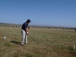 Rotoballegolftrophy 2011