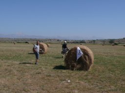 Rotoballegolftrophy 2011