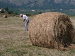 Rotoballegolftrophy 2011