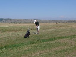 Rotoballegolftrophy 2011