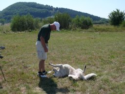 Rotoballegolftrophy 2011