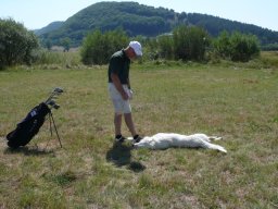 Rotoballegolftrophy 2011