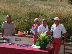 Rotoballegolftrophy 2013