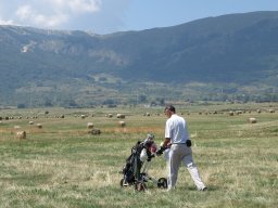 Rotoballegolftrophy 2018